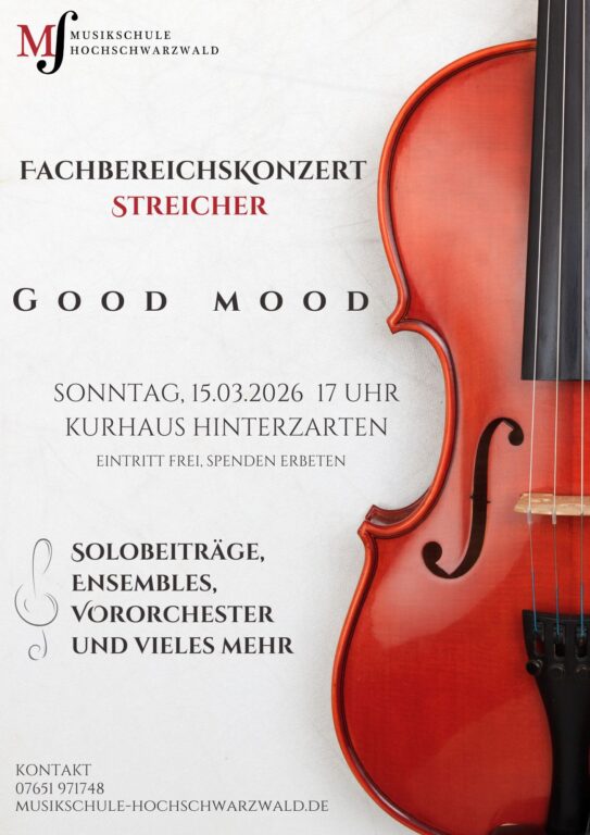 FB Konzert Streicher 15.03.26 (2)