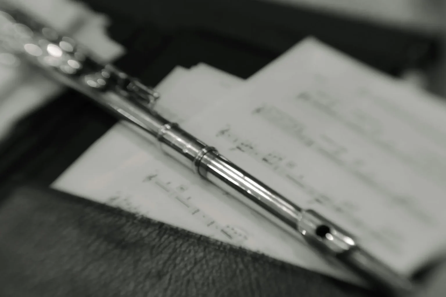 Musikschule Hochschwarzwald Musikinstrument Querflöte quer