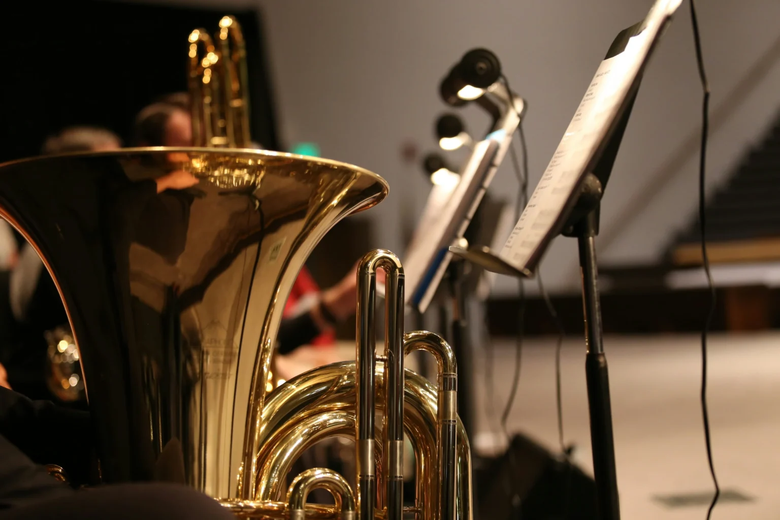 Musikschule Hochschwarzwald Musikinstrument Tenorhorn quer